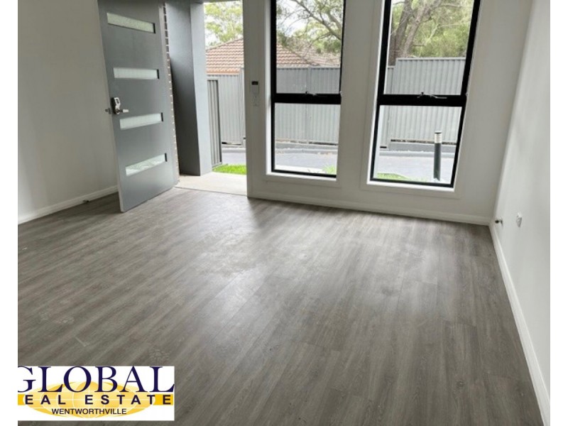 3/14 Aqua Pl, Marayong NSW 2148