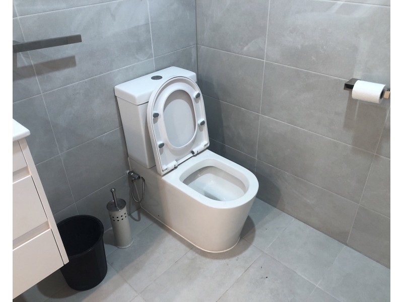 3 Blackwood Rd, Merrylands NSW 2160