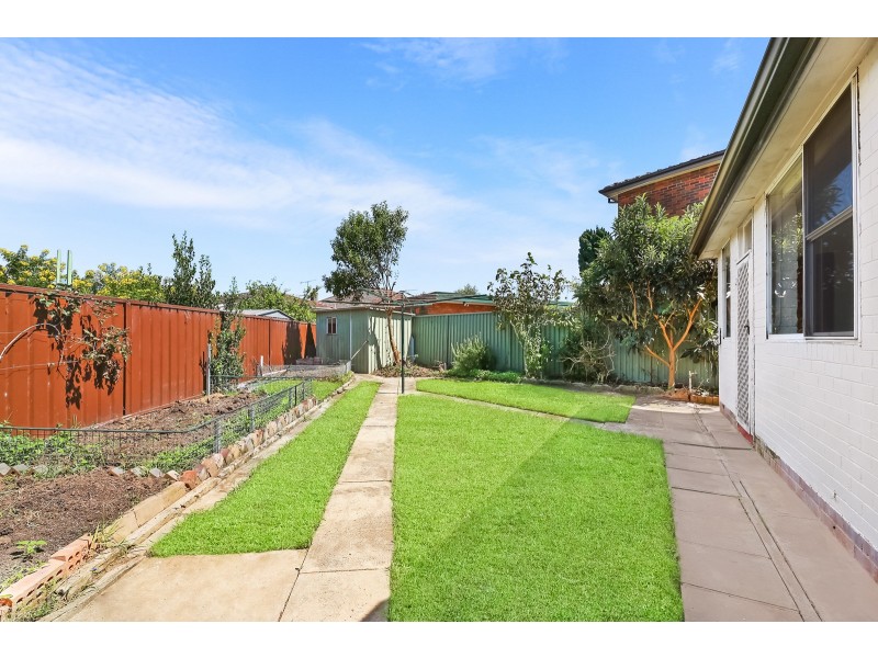 43 Glenview Avenue, Earlwood NSW 2206