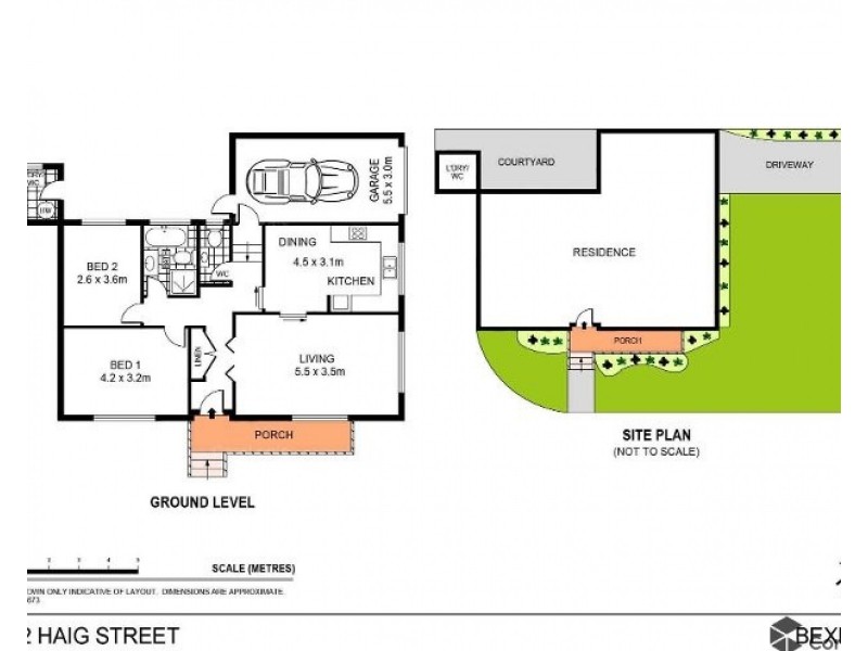 1/22 Haig Street, Bexley NSW 2207 Floorplan