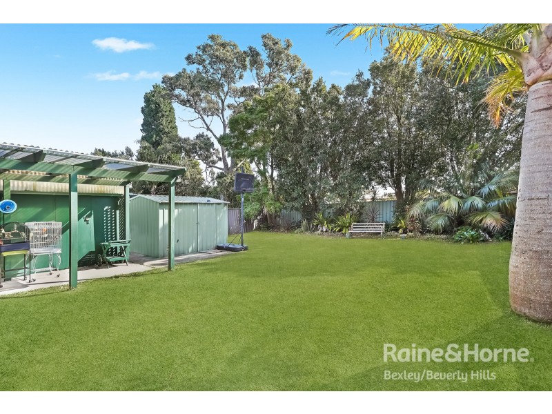 41 Iliffe Street, Bexley NSW 2207