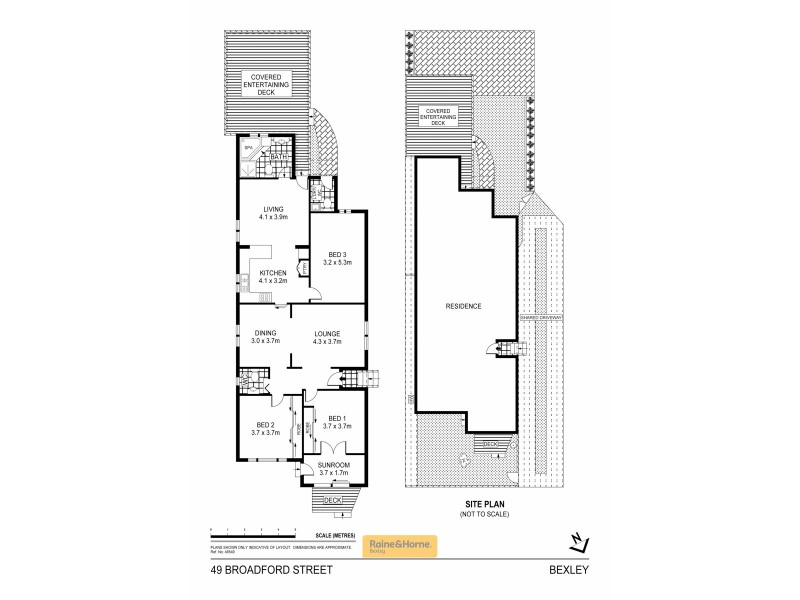 49 Broadford Street, Bexley NSW 2207 Floorplan