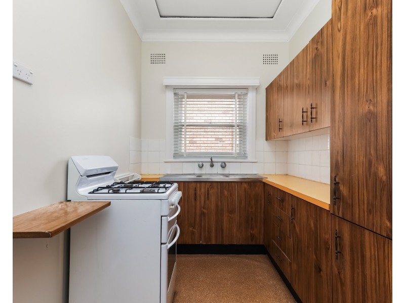 16 Vivienne Street, Kingsgrove NSW 2208