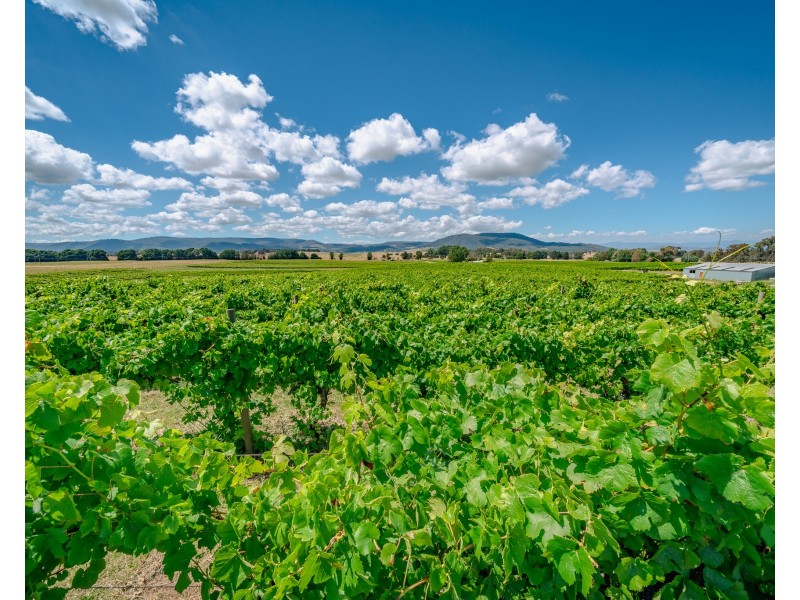 153 Courabyra Road, Tumbarumba NSW 2653