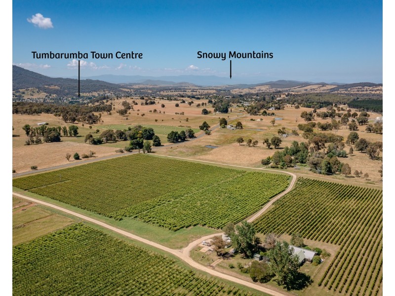 153 Courabyra Road, Tumbarumba NSW 2653