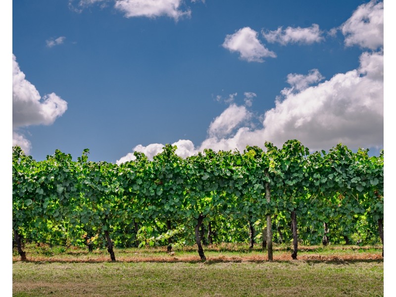 153 Courabyra Road, Tumbarumba NSW 2653