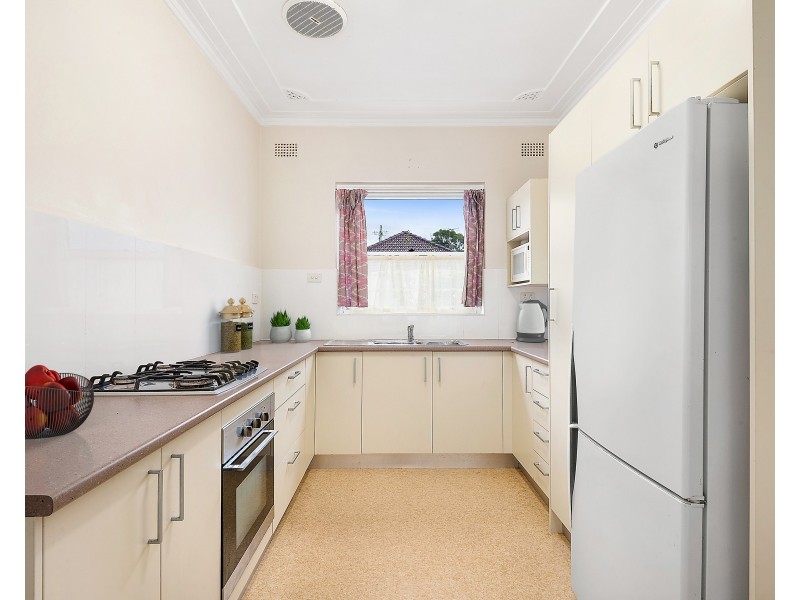 8 Downey Street, Bexley NSW 2207