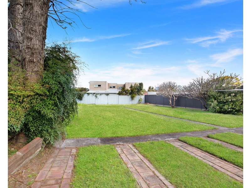 8 Wearne Street, Canterbury NSW 2193