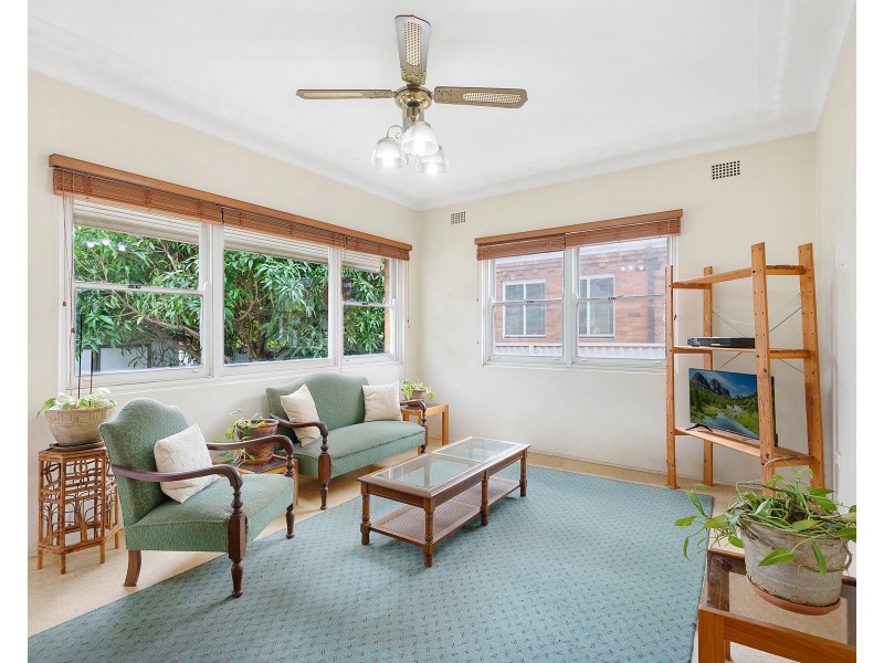 8 Downey Street, Bexley NSW 2207