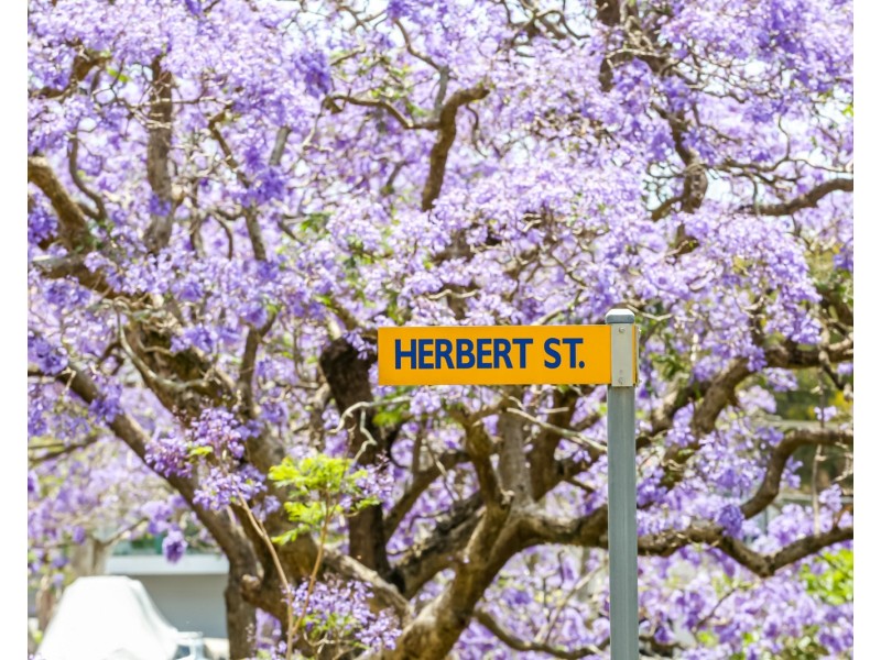 54 Herbert Street, Rockdale NSW 2216