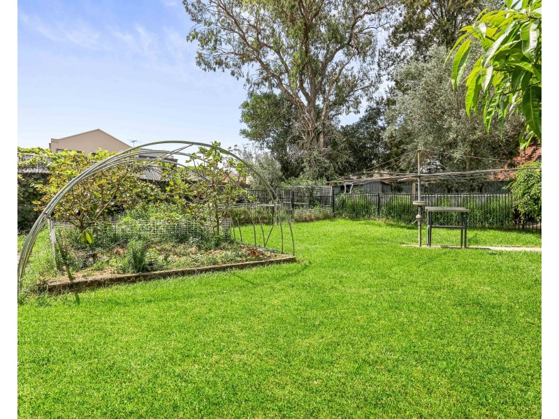 31 Weston Avenue, Narwee NSW 2209