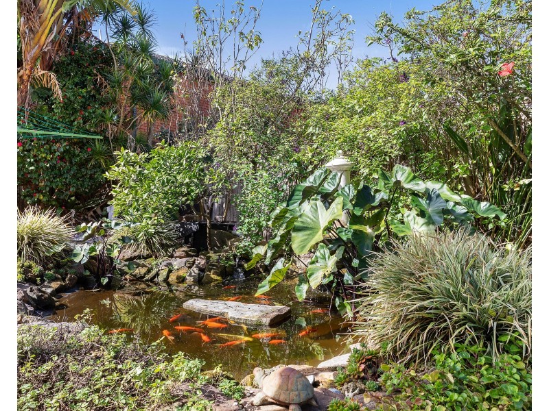 126 Queen Victoria Street, Bexley NSW 2207