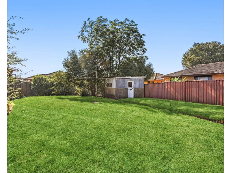 6 Haig Street, Bexley NSW 2207