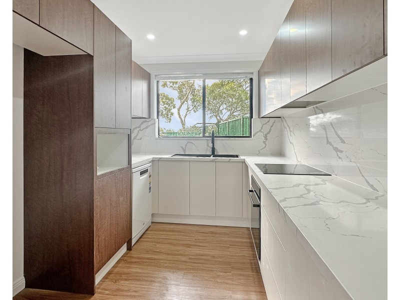 91b Homer Street, Earlwood NSW 2206