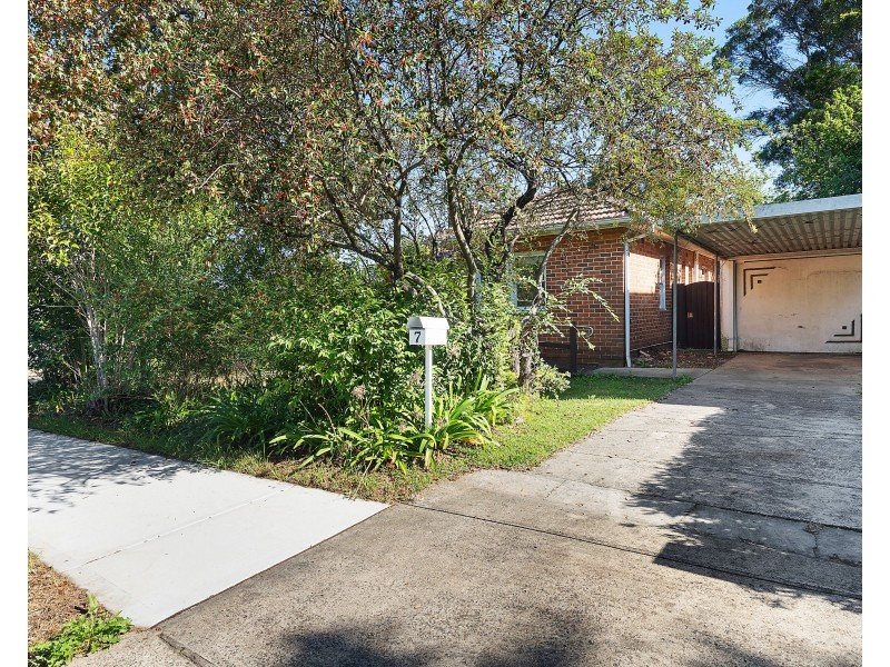 7 Low Street, Hurstville NSW 2220