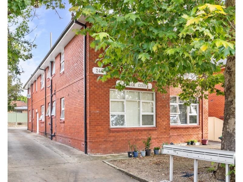 6/246 William Street, Kingsgrove NSW 2208