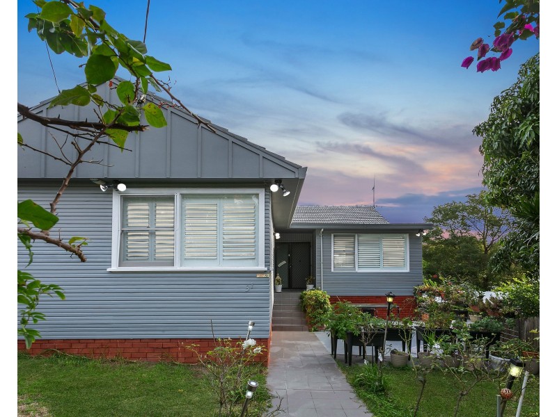 31A John Street, Bardwell Valley NSW 2207