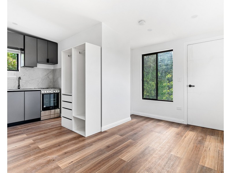 93b Homer Street, Earlwood NSW 2206