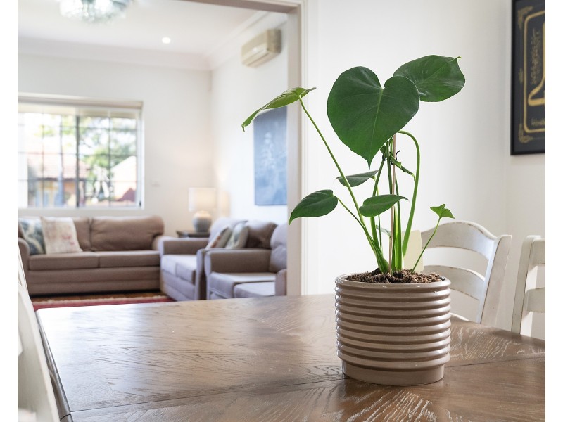 3 Princes Street, Bexley NSW 2207