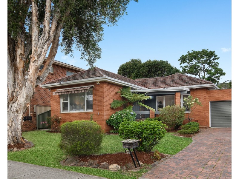 20 Daisy Street, Roselands NSW 2196