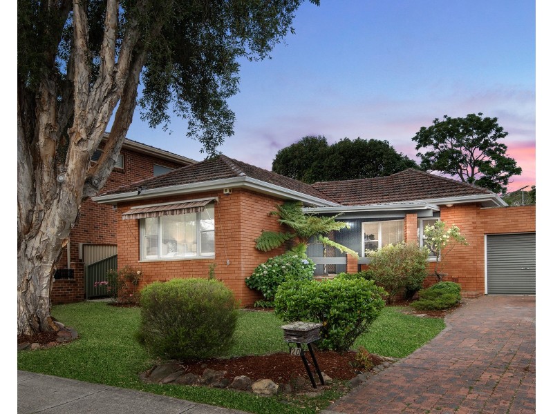 20 Daisy Street, Roselands NSW 2196