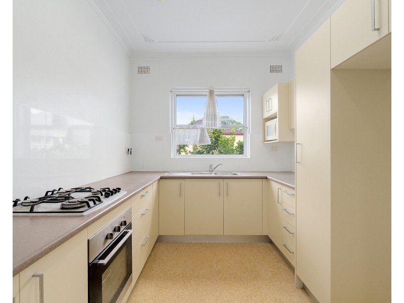 8 Downey Street, Bexley NSW 2207