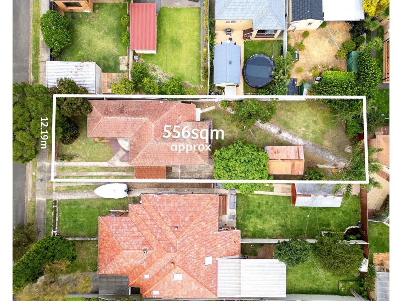 8 Downey Street, Bexley NSW 2207