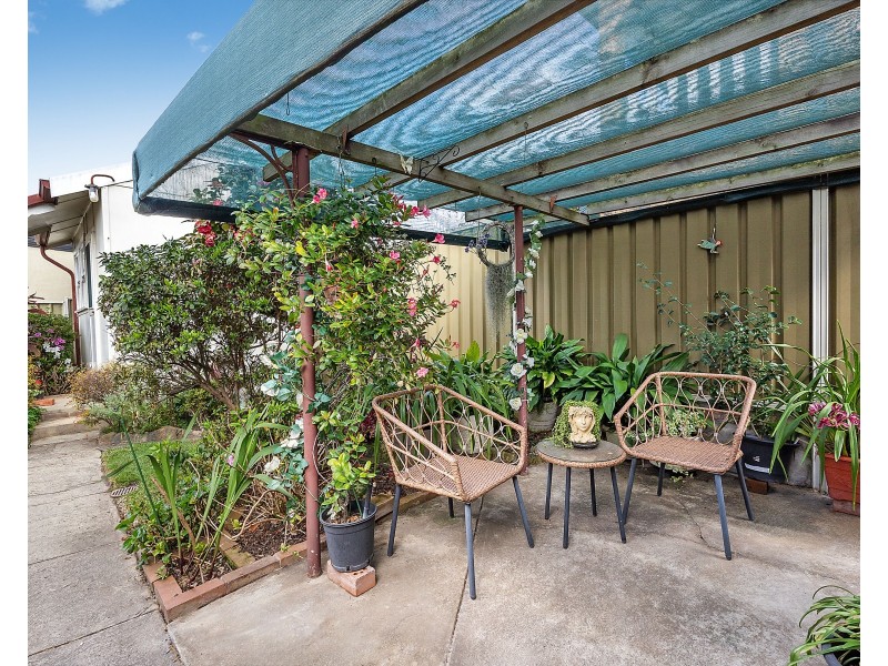 82 Iliffe Street, Bexley NSW 2207