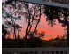70 Washington Street, Bexley NSW 2207