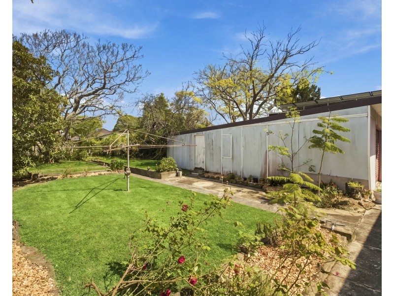 13 Vivian Street, Bexley NSW 2207