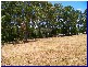 Wauchope NSW 2446