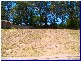 Wauchope NSW 2446