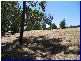 Wauchope NSW 2446