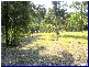 Wauchope NSW 2446