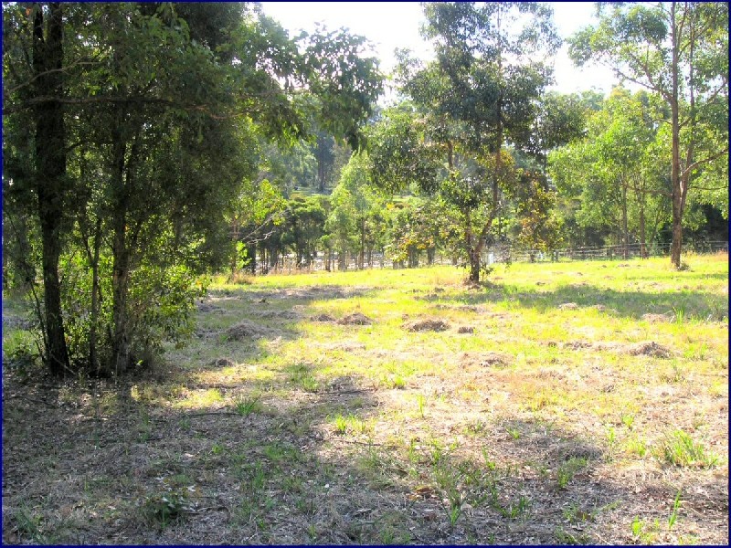 Wauchope NSW 2446
