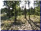 Wauchope NSW 2446