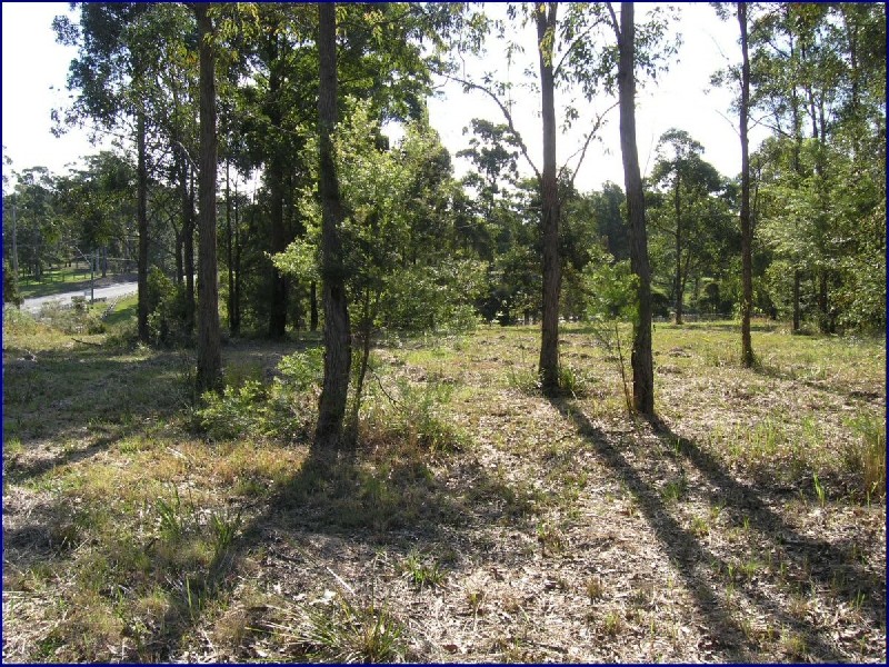 Wauchope NSW 2446