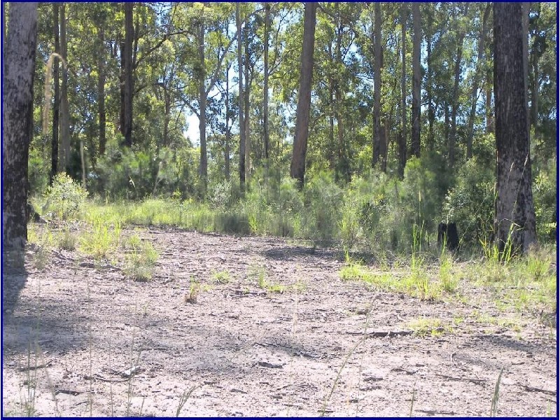 Wauchope NSW 2446