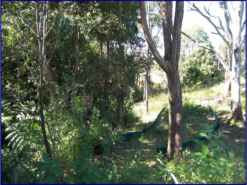 Port Macquarie NSW 2444