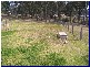 Wauchope NSW 2446