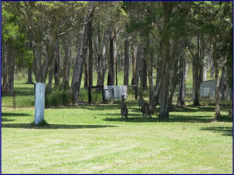 Port Macquarie NSW 2444