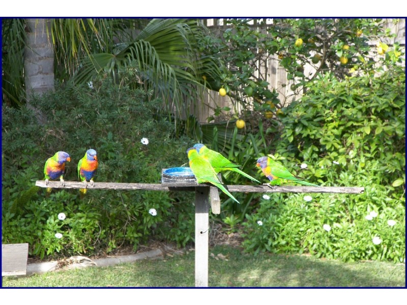 Port Macquarie NSW 2444