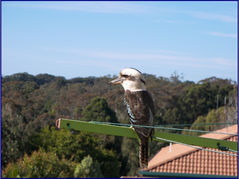 Port Macquarie NSW 2444