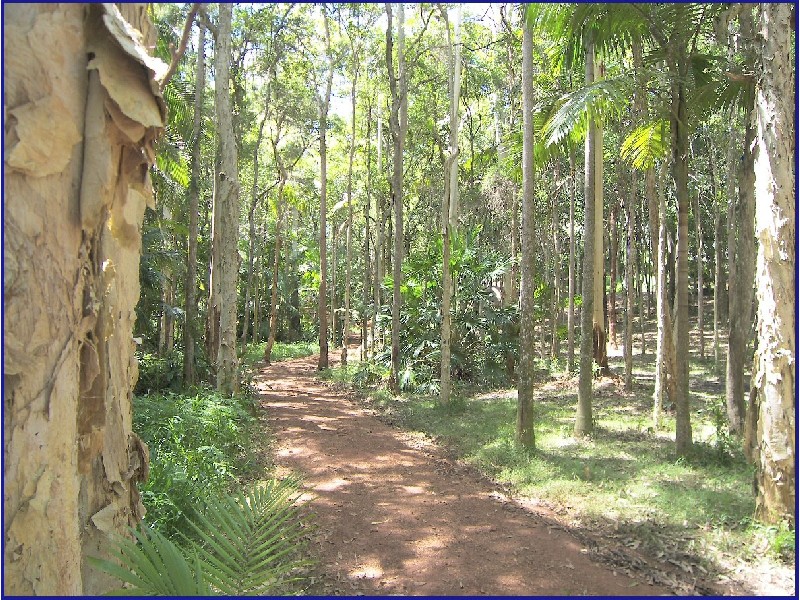 Port Macquarie NSW 2444