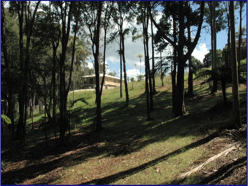 Port Macquarie NSW 2444