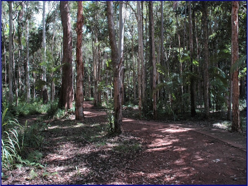 Port Macquarie NSW 2444