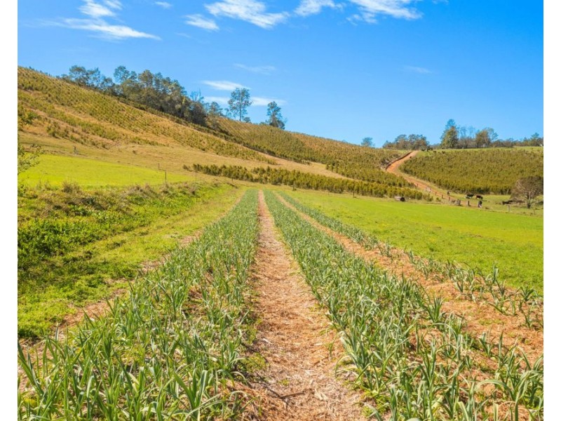 1756 North Arm Road, Bowraville NSW 2449