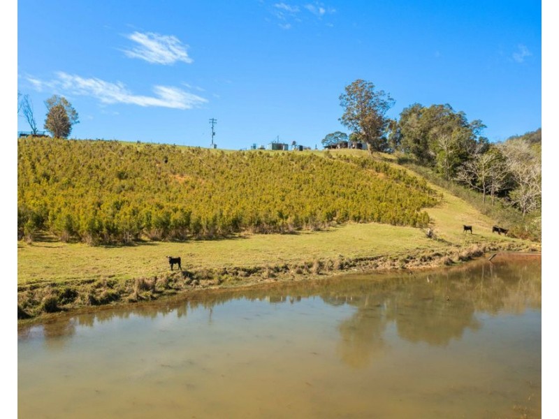 1756 North Arm Road, Bowraville NSW 2449