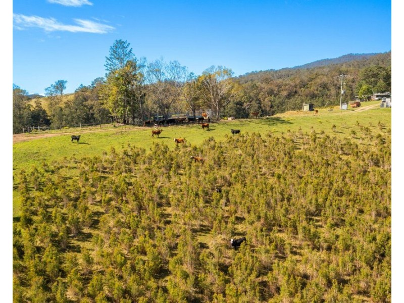 1756 North Arm Road, Bowraville NSW 2449