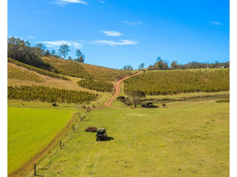 1756 North Arm Road, Bowraville NSW 2449